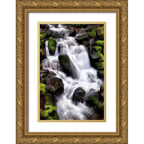 Trailside Waterfall I Gold Ornate Wood Framed Art Print with Double Matting by Taylor, Douglas