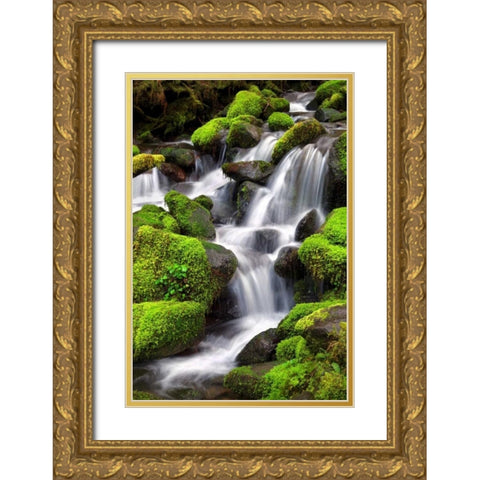 Trailside Waterfall II Gold Ornate Wood Framed Art Print with Double Matting by Taylor, Douglas