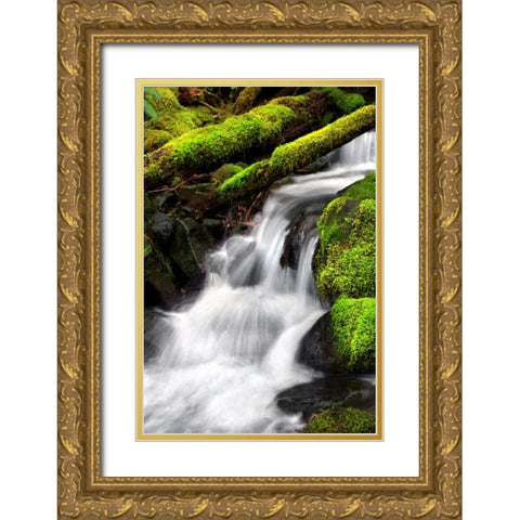 Trailside Waterfall III Gold Ornate Wood Framed Art Print with Double Matting by Taylor, Douglas