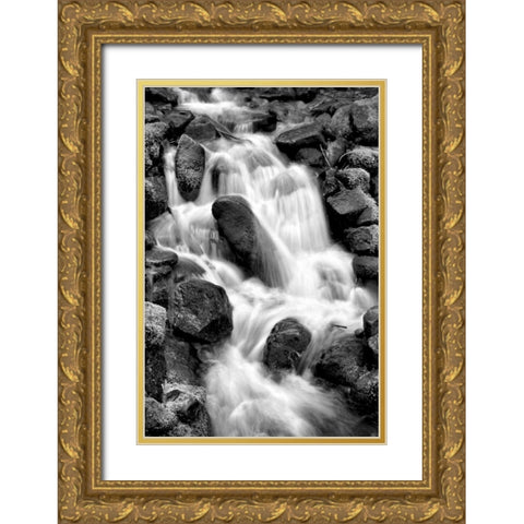 Trailside Waterfall I BW Gold Ornate Wood Framed Art Print with Double Matting by Taylor, Douglas