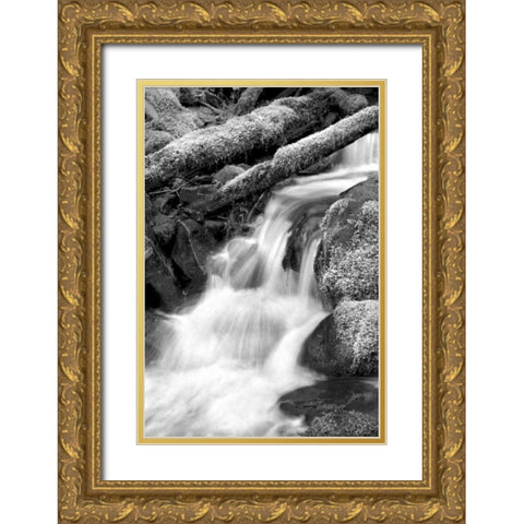 Trailside Waterfall III BW Gold Ornate Wood Framed Art Print with Double Matting by Taylor, Douglas