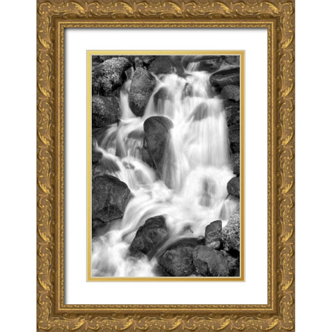 Trailside Waterfall IV BW Gold Ornate Wood Framed Art Print with Double Matting by Taylor, Douglas
