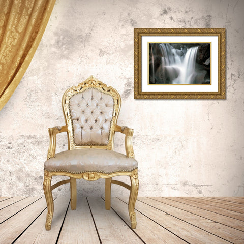 Falling Water I Gold Ornate Wood Framed Art Print with Double Matting by Taylor, Douglas