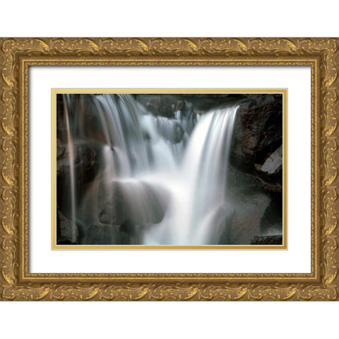 Falling Water I Gold Ornate Wood Framed Art Print with Double Matting by Taylor, Douglas