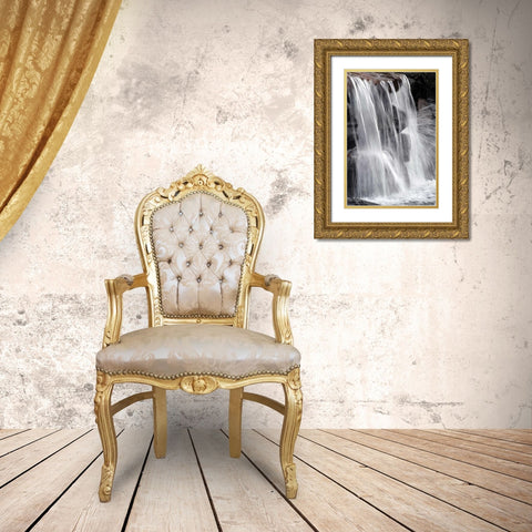 Water on the Rocks II Gold Ornate Wood Framed Art Print with Double Matting by Taylor, Douglas