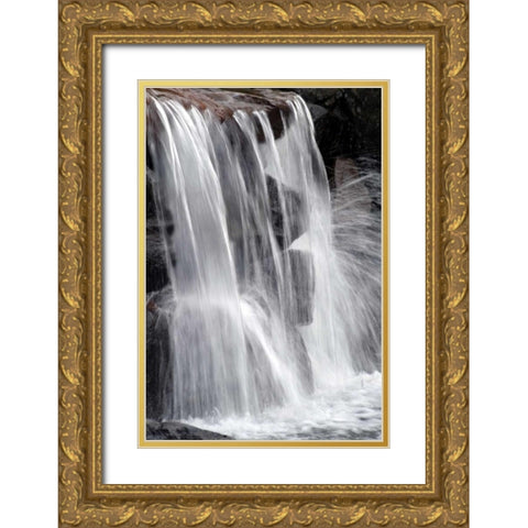 Water on the Rocks II Gold Ornate Wood Framed Art Print with Double Matting by Taylor, Douglas