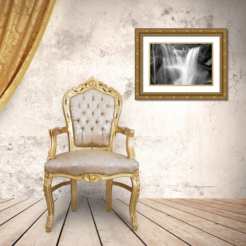 Falling Water I BW Gold Ornate Wood Framed Art Print with Double Matting by Taylor, Douglas