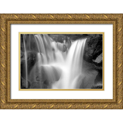 Falling Water I BW Gold Ornate Wood Framed Art Print with Double Matting by Taylor, Douglas