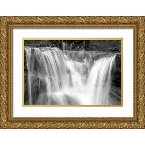 Falling Water II BW Gold Ornate Wood Framed Art Print with Double Matting by Taylor, Douglas