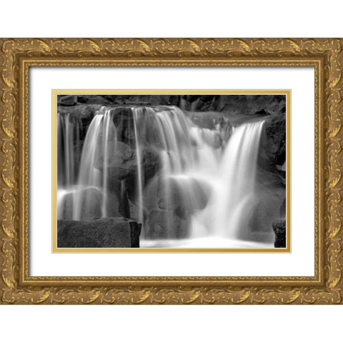 Sunset Waterfall II BW Gold Ornate Wood Framed Art Print with Double Matting by Taylor, Douglas