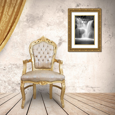 Twilight Waterfall II BW Gold Ornate Wood Framed Art Print with Double Matting by Taylor, Douglas