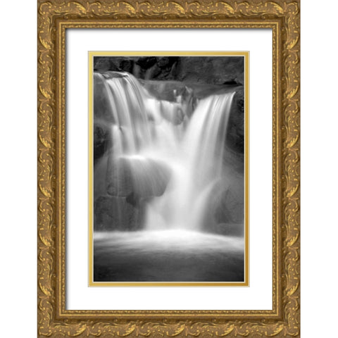 Twilight Waterfall II BW Gold Ornate Wood Framed Art Print with Double Matting by Taylor, Douglas