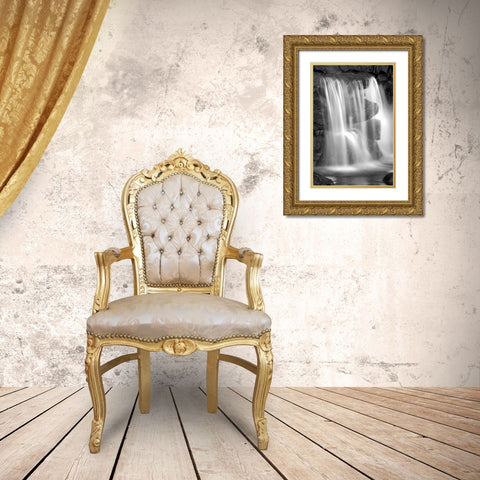 Sunset Waterfall II BW Gold Ornate Wood Framed Art Print with Double Matting by Taylor, Douglas