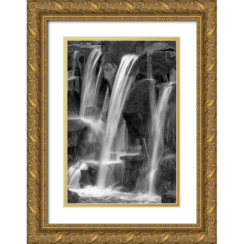 Water on the Rocks I BW Gold Ornate Wood Framed Art Print with Double Matting by Taylor, Douglas