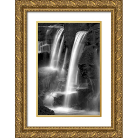Twilight Waterfall I BW Gold Ornate Wood Framed Art Print with Double Matting by Taylor, Douglas