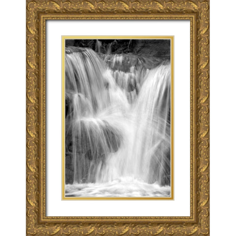 Water on the Rocks III BW Gold Ornate Wood Framed Art Print with Double Matting by Taylor, Douglas