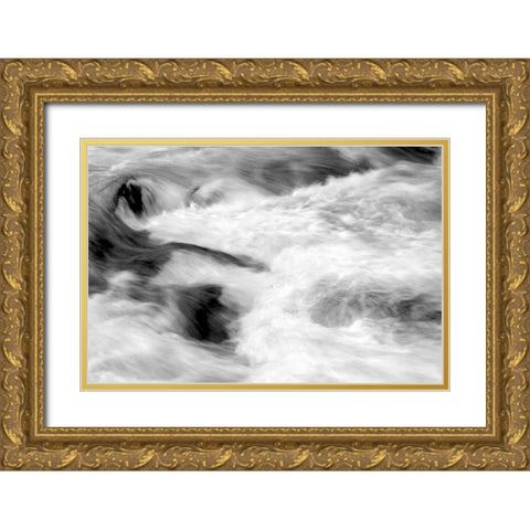 Hamma Hamma Current II BW Gold Ornate Wood Framed Art Print with Double Matting by Taylor, Douglas