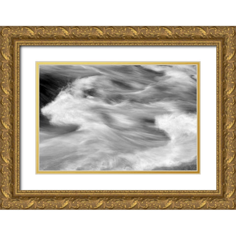 Hamma Hamma Current III BW Gold Ornate Wood Framed Art Print with Double Matting by Taylor, Douglas