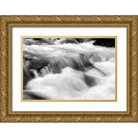 Hamma Hamma Current IV BW Gold Ornate Wood Framed Art Print with Double Matting by Taylor, Douglas