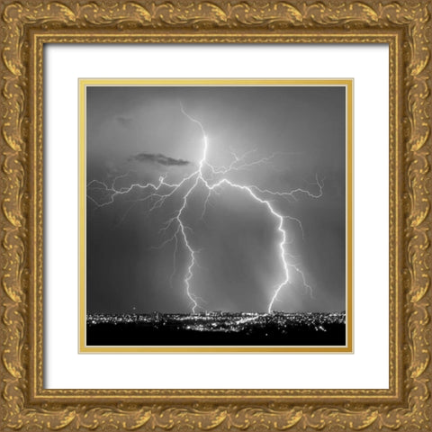 Urban Lightning I BW Gold Ornate Wood Framed Art Print with Double Matting by Taylor, Douglas