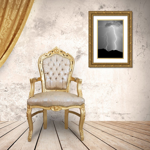 Summer Lightning BW Gold Ornate Wood Framed Art Print with Double Matting by Taylor, Douglas