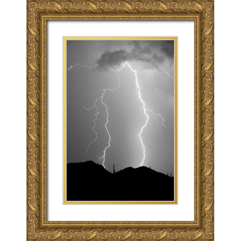 Summer Lightning BW Gold Ornate Wood Framed Art Print with Double Matting by Taylor, Douglas