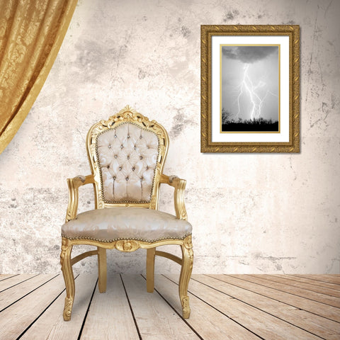 Dancing Lightning BW Gold Ornate Wood Framed Art Print with Double Matting by Taylor, Douglas