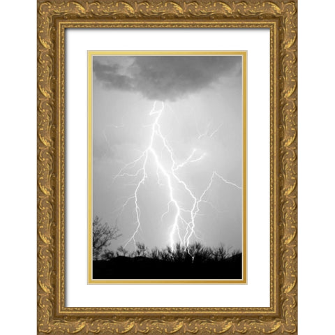 Dancing Lightning BW Gold Ornate Wood Framed Art Print with Double Matting by Taylor, Douglas