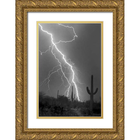 Fire and Rain BW Gold Ornate Wood Framed Art Print with Double Matting by Taylor, Douglas