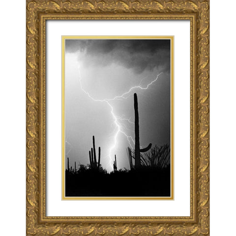 Hot August Night BW Gold Ornate Wood Framed Art Print with Double Matting by Taylor, Douglas