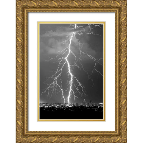 Lightning Portrait BW Gold Ornate Wood Framed Art Print with Double Matting by Taylor, Douglas