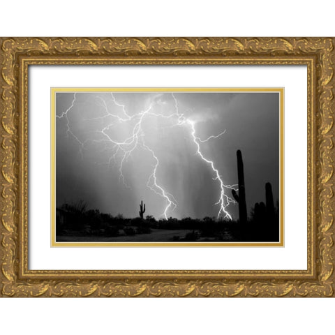 Electrifying BW Gold Ornate Wood Framed Art Print with Double Matting by Taylor, Douglas