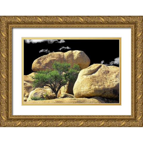 Texas Canyon Rox and Rolls Gold Ornate Wood Framed Art Print with Double Matting by Taylor, Douglas