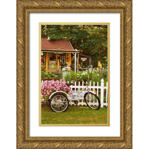 Vintage Bicycle III Gold Ornate Wood Framed Art Print with Double Matting by Clayton-Thompson, Philip