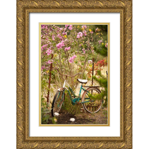 Vintage Bicycle IV Gold Ornate Wood Framed Art Print with Double Matting by Clayton-Thompson, Philip