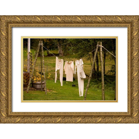 Out to Dry I Gold Ornate Wood Framed Art Print with Double Matting by Clayton-Thompson, Philip