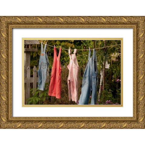 Out to Dry II Gold Ornate Wood Framed Art Print with Double Matting by Clayton-Thompson, Philip