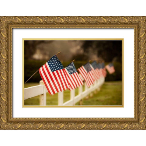 Flags I Gold Ornate Wood Framed Art Print with Double Matting by Clayton-Thompson, Philip