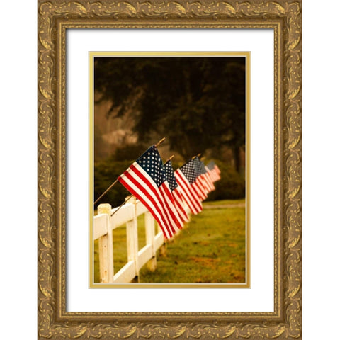 Flags II Gold Ornate Wood Framed Art Print with Double Matting by Clayton-Thompson, Philip