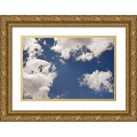 Clouds I Gold Ornate Wood Framed Art Print with Double Matting by Clayton-Thompson, Philip