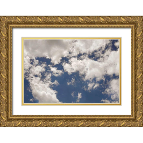 Clouds II Gold Ornate Wood Framed Art Print with Double Matting by Clayton-Thompson, Philip