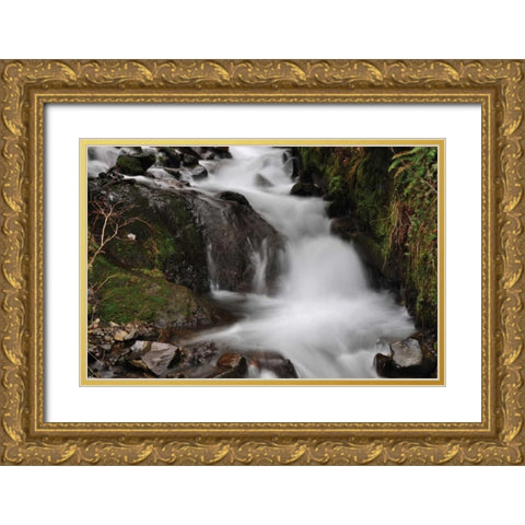Stream Falls III Gold Ornate Wood Framed Art Print with Double Matting by Thomas, Logan