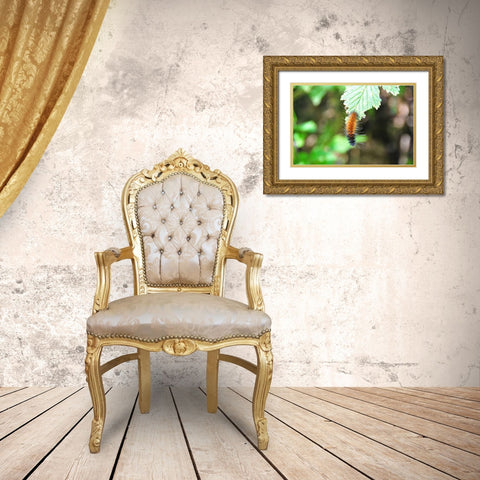 Caterpillar on Leaf I Gold Ornate Wood Framed Art Print with Double Matting by Thomas, Logan