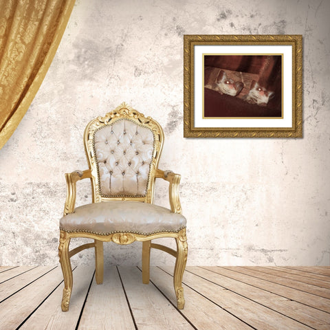 Bushbaby I Gold Ornate Wood Framed Art Print with Double Matting by Underdahl, Dana