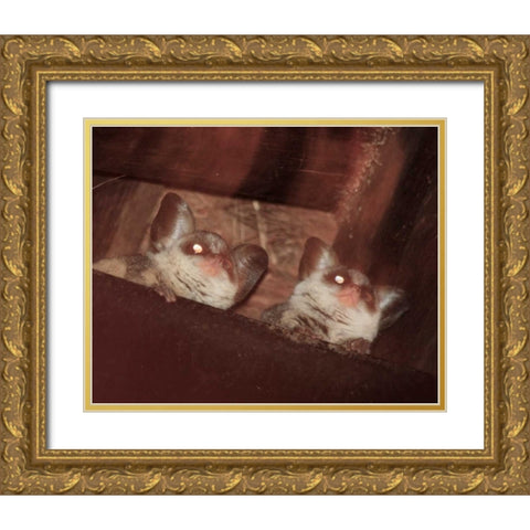 Bushbaby I Gold Ornate Wood Framed Art Print with Double Matting by Underdahl, Dana