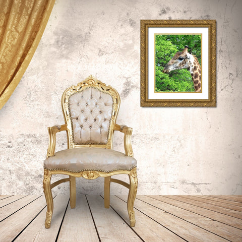 Giraffe III Gold Ornate Wood Framed Art Print with Double Matting by Underdahl, Dana
