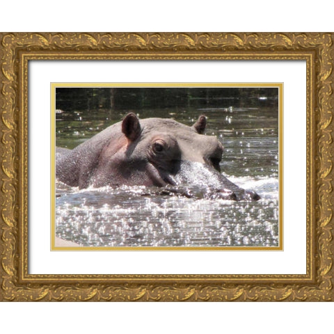 Hippo I Gold Ornate Wood Framed Art Print with Double Matting by Underdahl, Dana