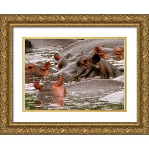 Hippo V Gold Ornate Wood Framed Art Print with Double Matting by Underdahl, Dana