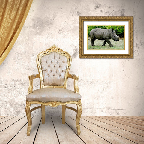 Rhino III Gold Ornate Wood Framed Art Print with Double Matting by Underdahl, Dana