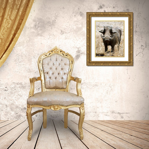 Warthog Gold Ornate Wood Framed Art Print with Double Matting by Underdahl, Dana